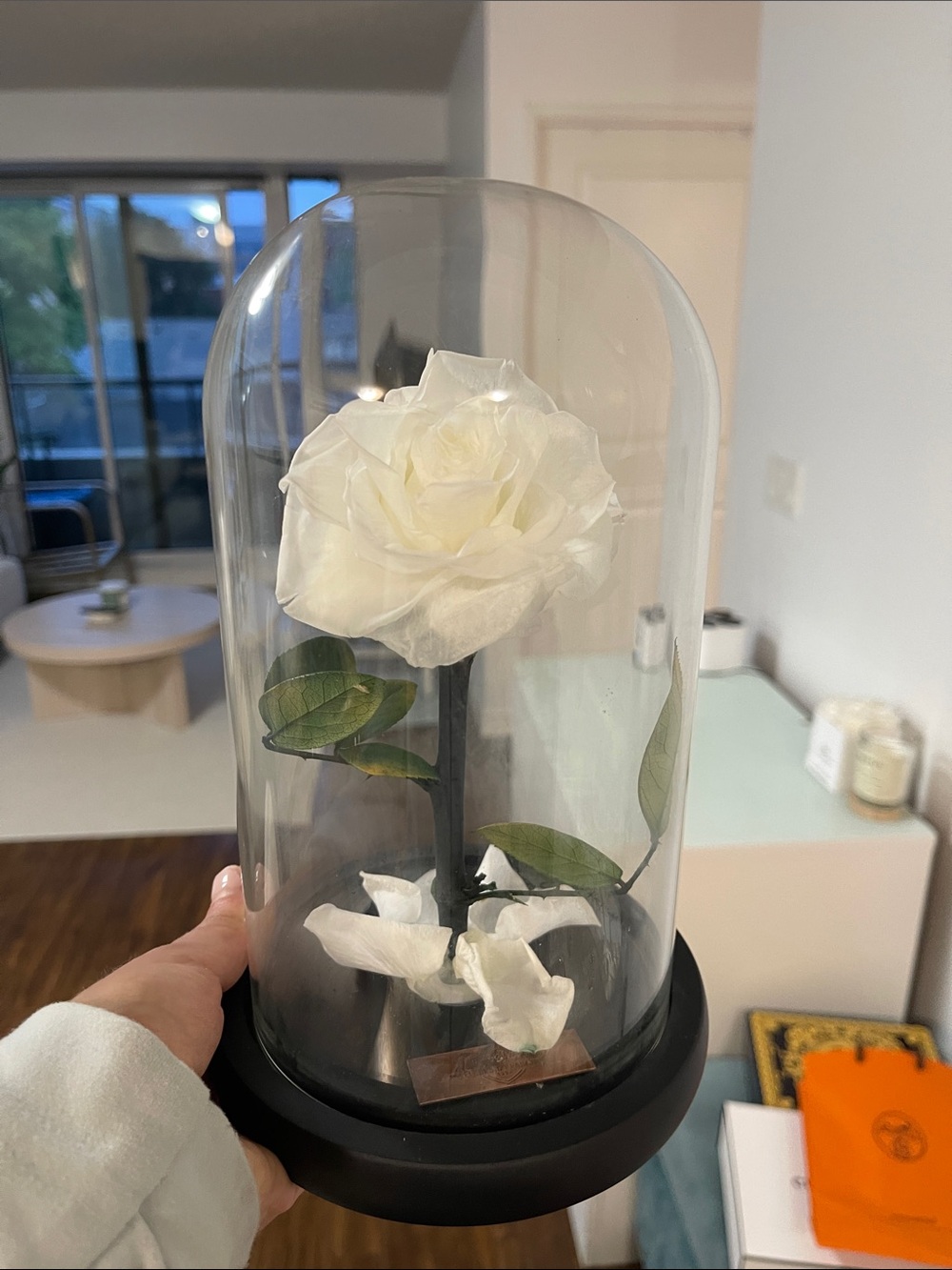 Preserved White Rose Dome - Elegant Home Art Accent
